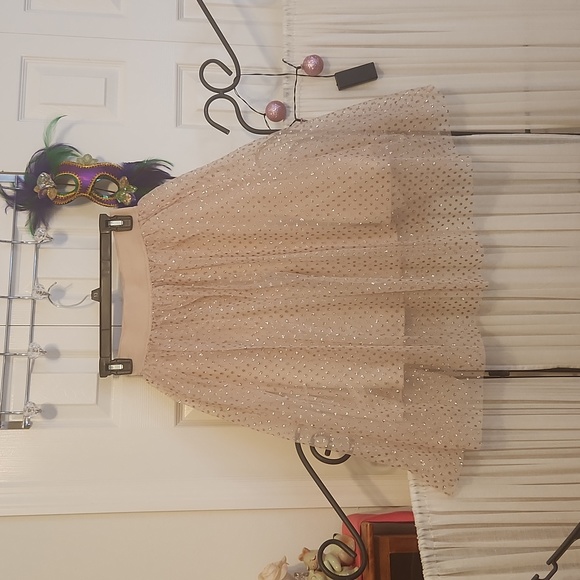 Tulle lace shimmery skirt, NWT - Picture 1 of 4